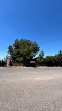 Terreno en calle Naranjo s/n photo 4