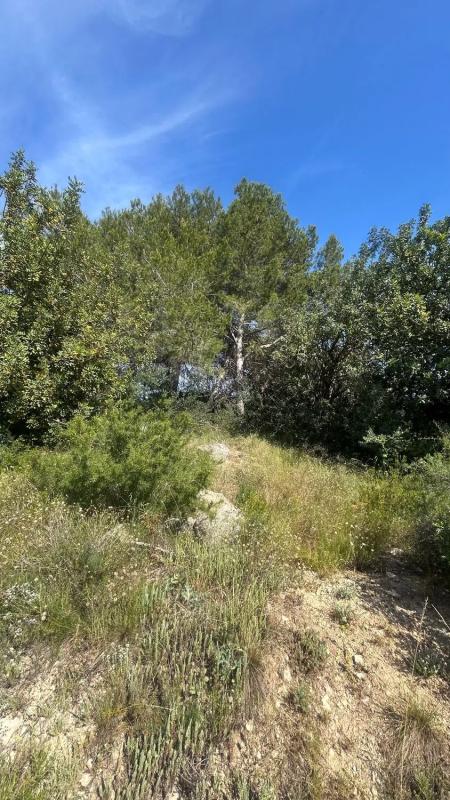 Terreno en venta en Bétera, Valencia photo 5