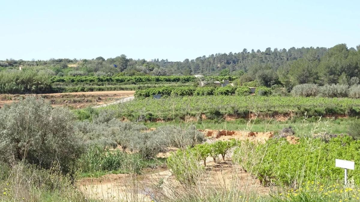 Terreno en venta en Vilamarxant, Valencia photo 2