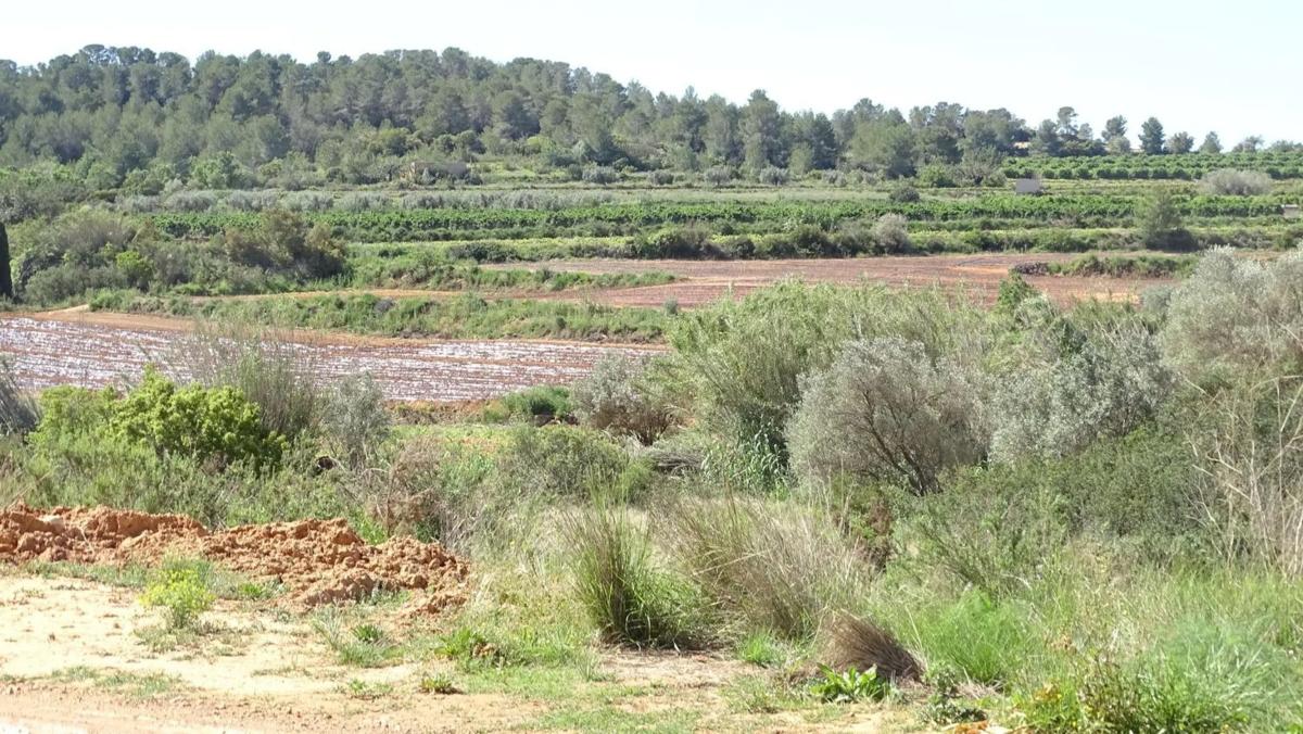 Terreno en venta en Vilamarxant, Valencia photo 3
