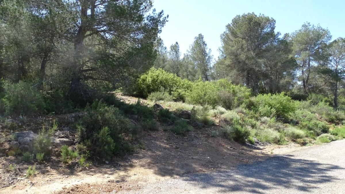 Terreno en venta en Vilamarxant, Valencia photo 5