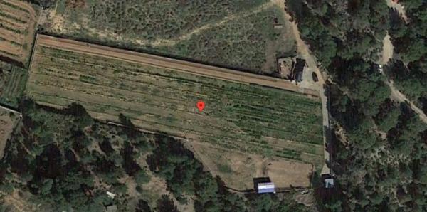 Terreno en calle de la pea, km 34 photo 1
