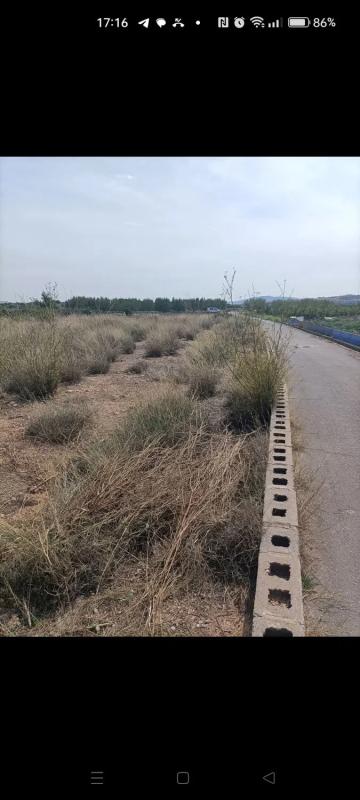 Land for sale in Llíria, Valencia photo 3