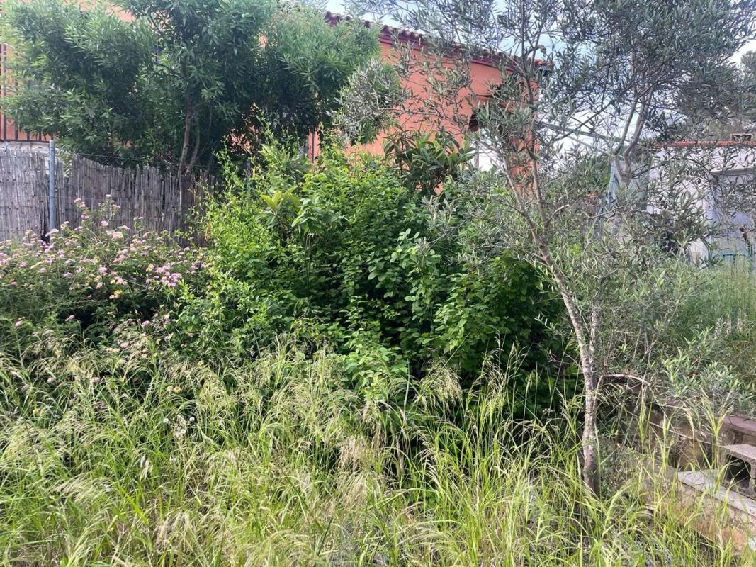 Terreno en venta en L'Eliana, Valencia photo 5