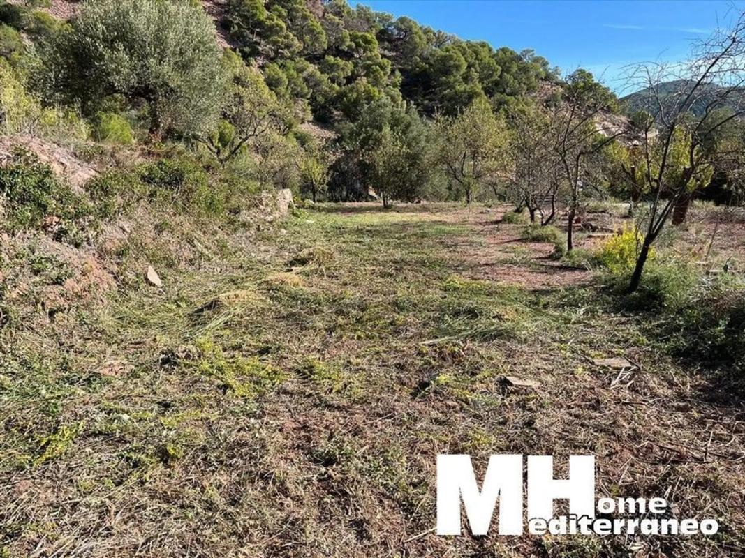 Land for sale in Serra, Valencia photo 2