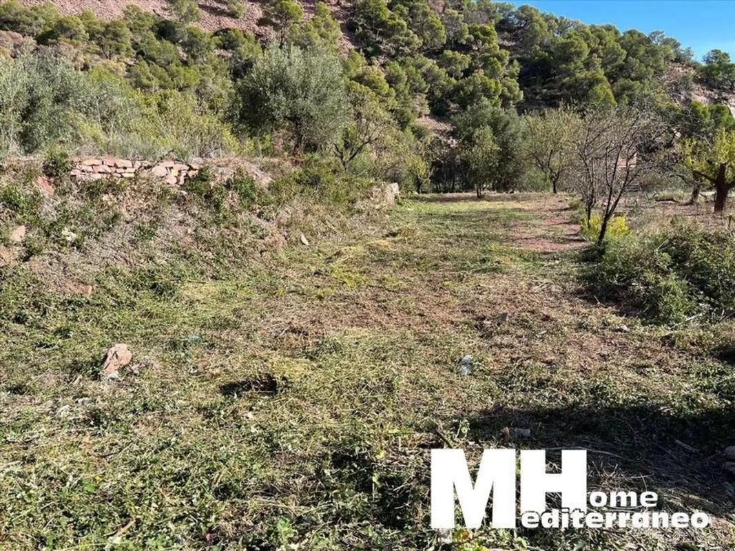 Land for sale in Serra, Valencia photo 4