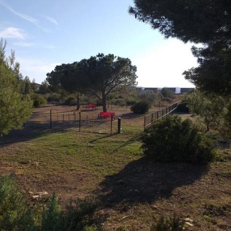 Terreno en Montealegre photo 1