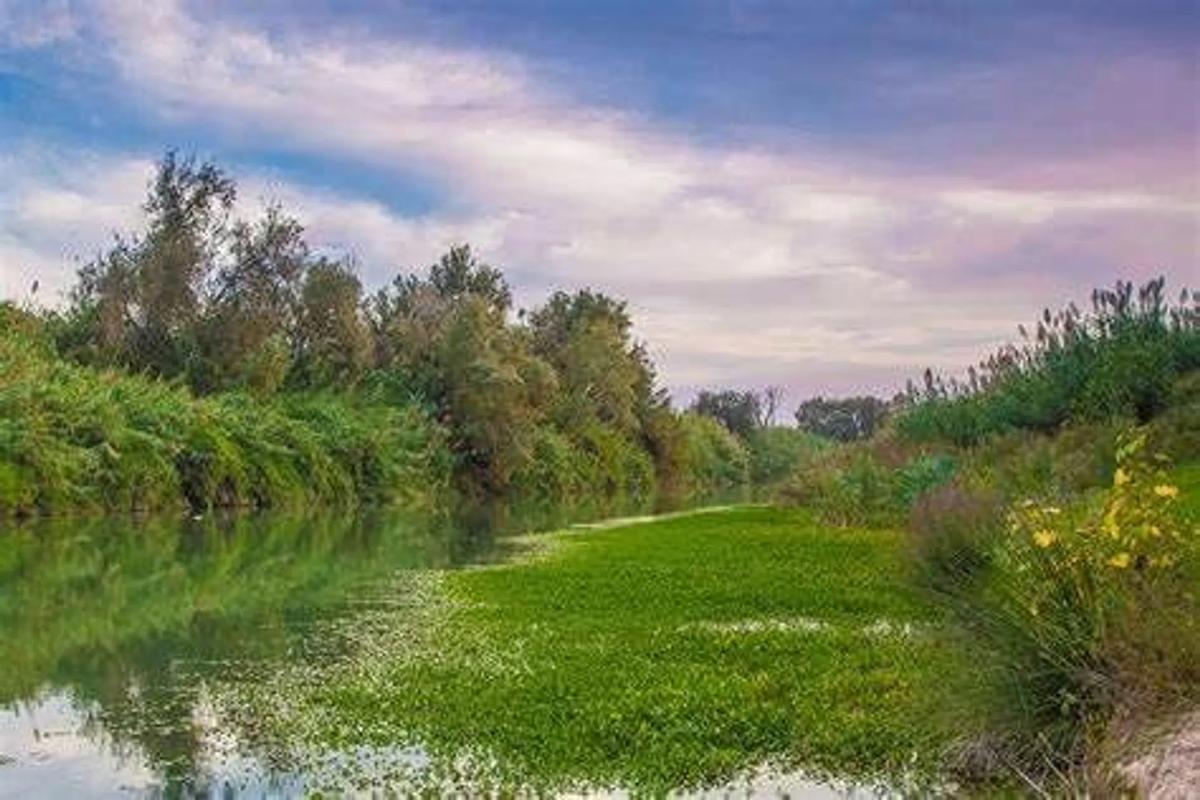 Terreno en venta en Riba-Roja de Túria, Valencia photo 3