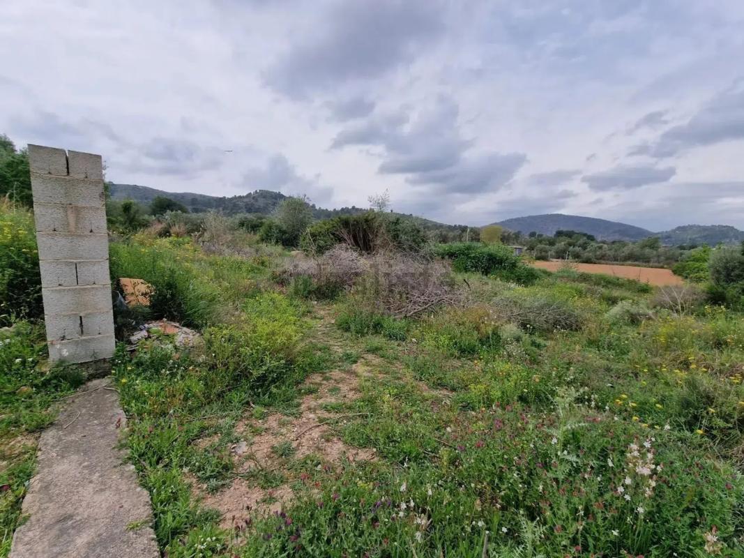 Terreno en venta en Riba-Roja de Túria, Valencia photo 5