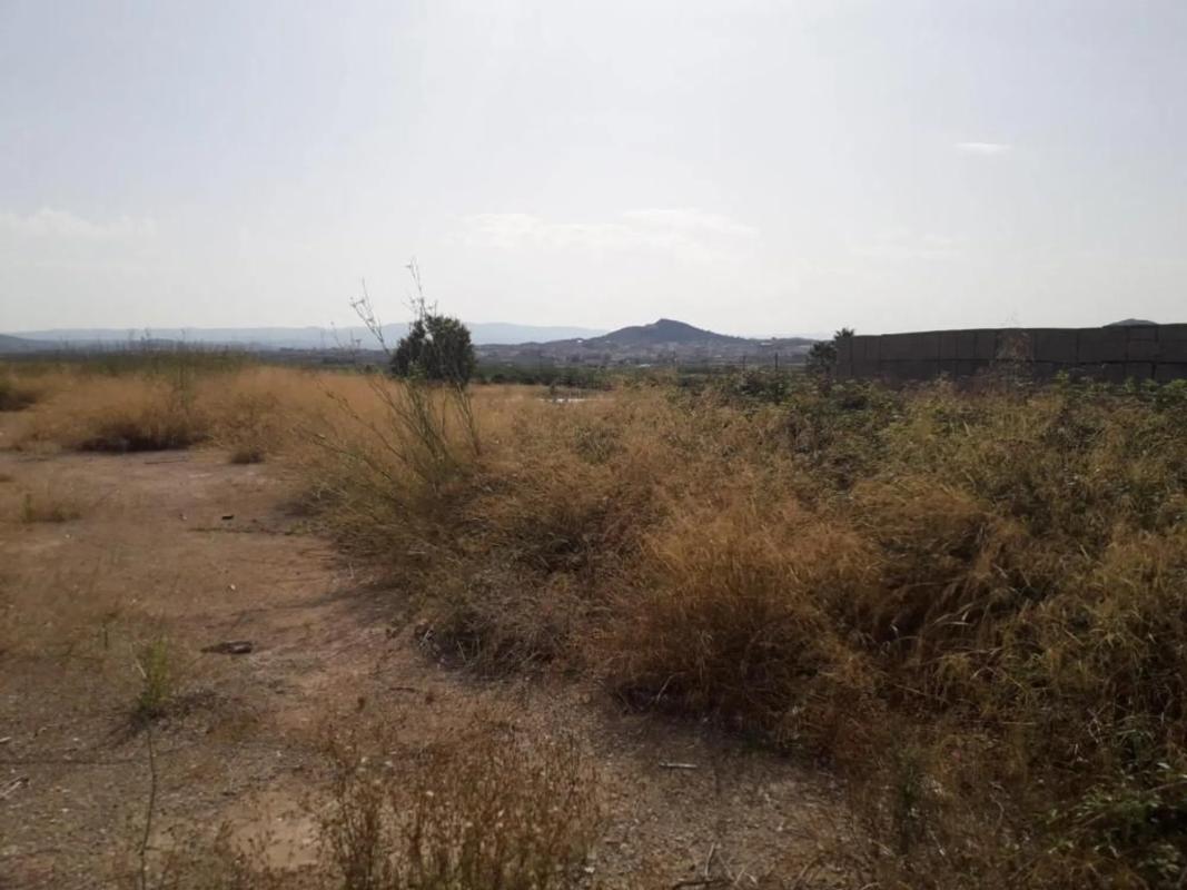Land for sale in La Pobla de Vallbona, Valencia photo 1