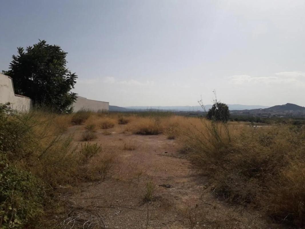 Land for sale in La Pobla de Vallbona, Valencia photo 4