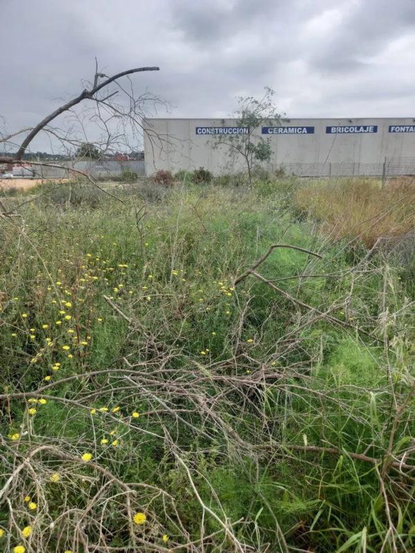 Участок земли на продажу в Сан-Антонио-де-Бенахевер, Валенсия photo 3