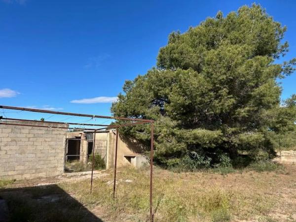 Terreno en Los Pinares-La Masía photo 1