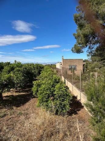 Terreno en Los Pinares-La Masía photo 3