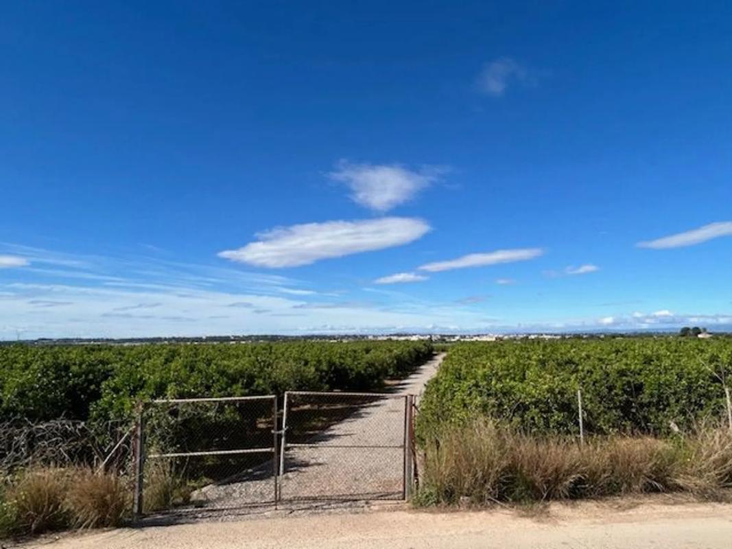 Terreno en venta en Bétera, Valencia photo 4