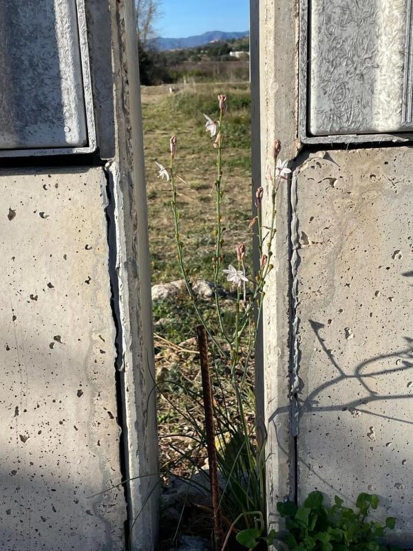 Terreno en venta en Benisano, Valencia photo 2