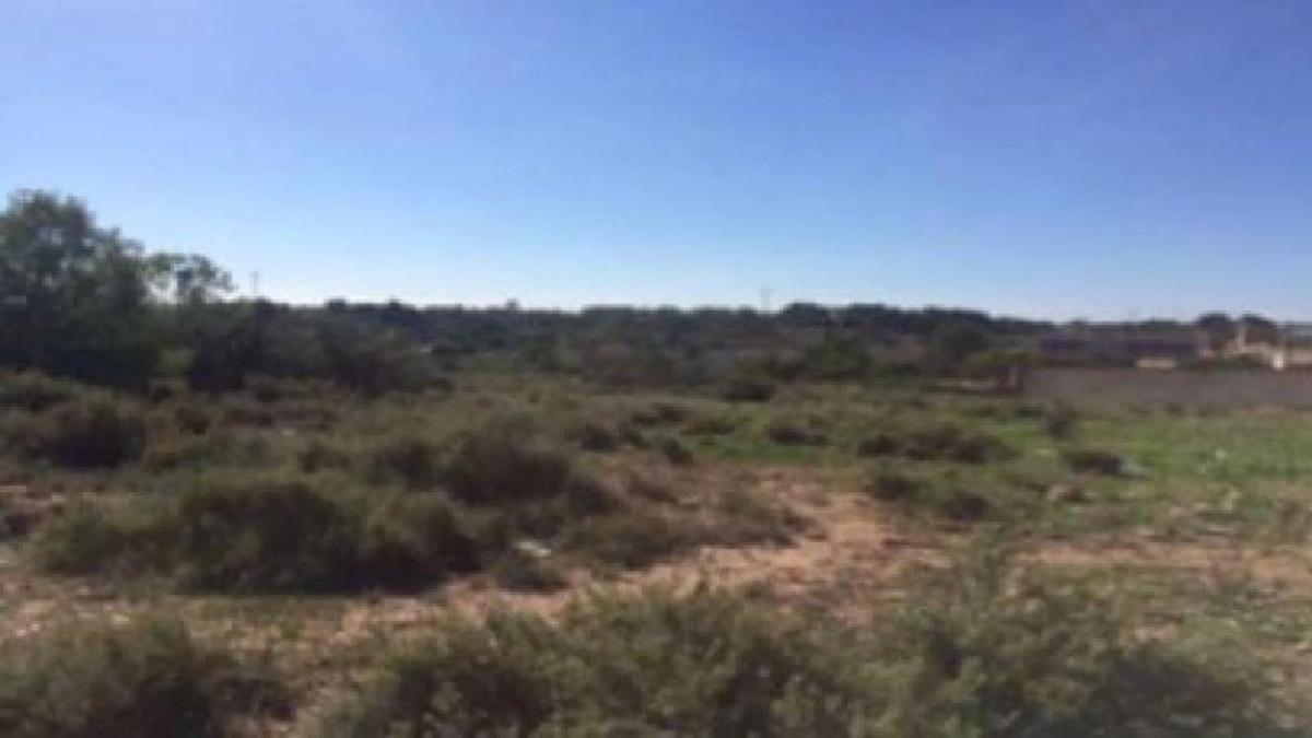 Terreno en venta en Bétera, Valencia photo 3