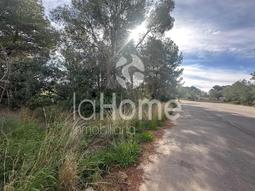 Land for sale in San Antonio de Benagéber, Valencia photo 2