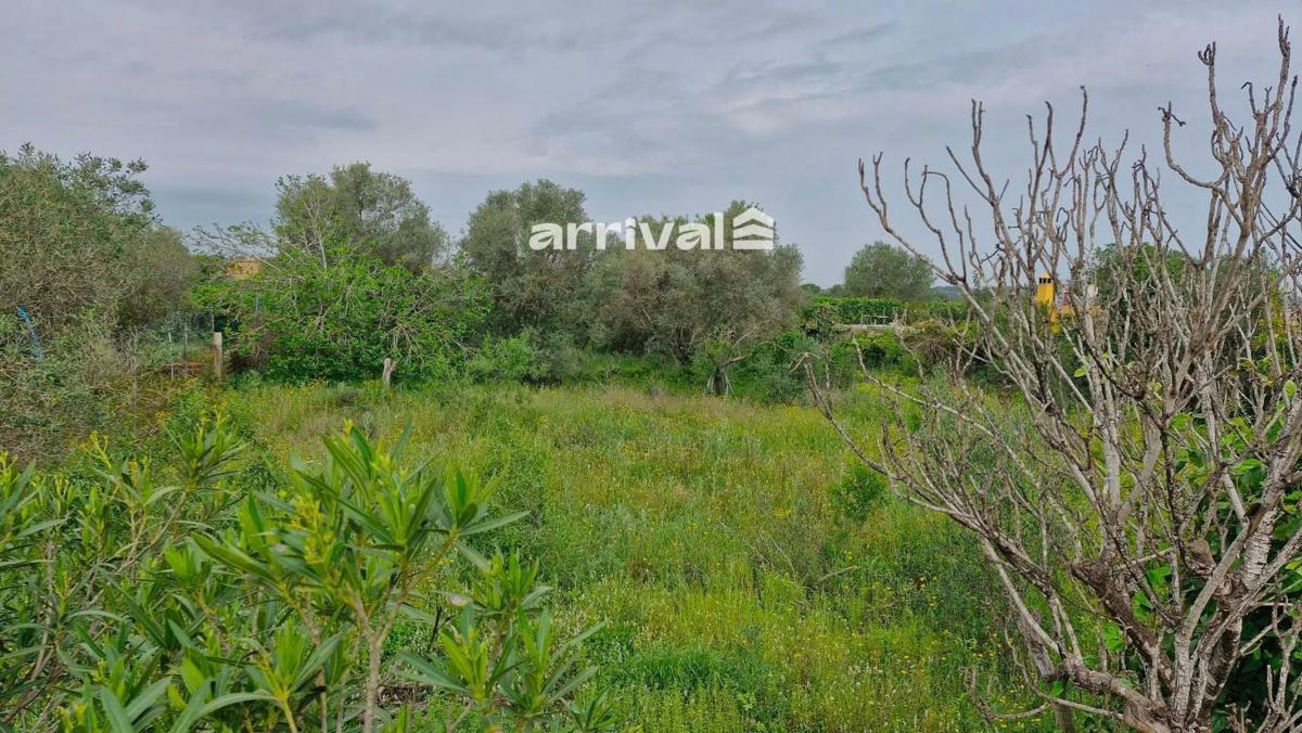 Land for sale in Bétera, Valencia photo 3