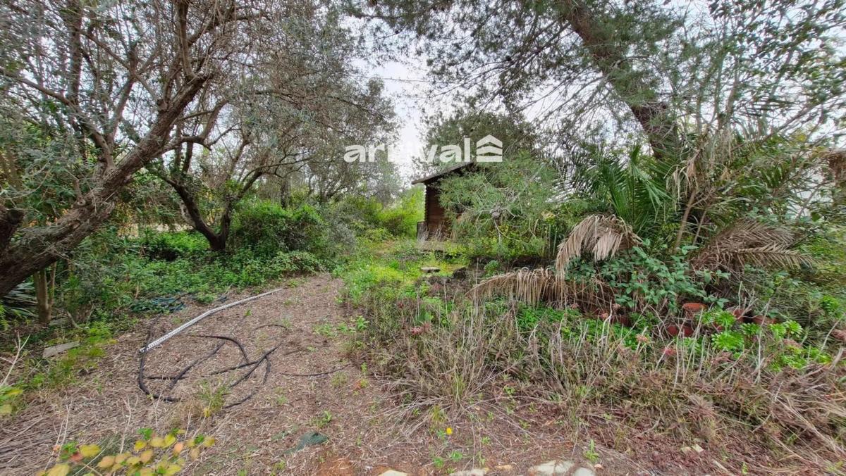 Land for sale in Bétera, Valencia photo 5
