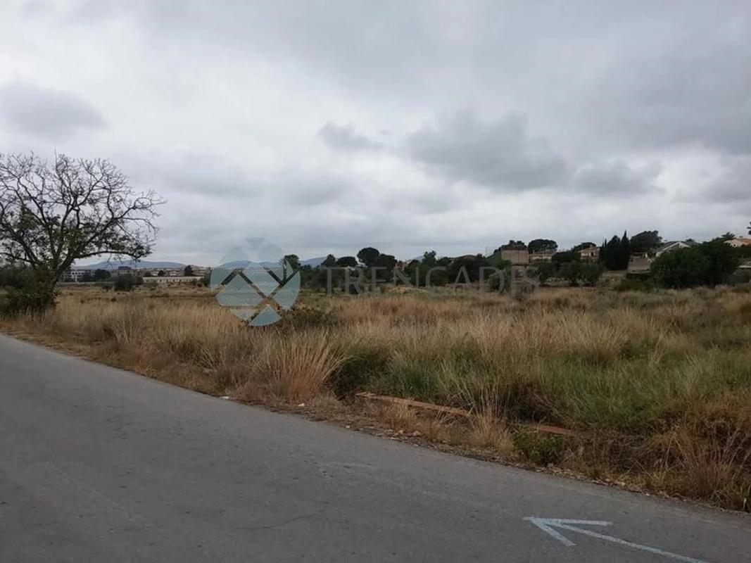 Land for sale in La Pobla de Vallbona, Valencia photo 3