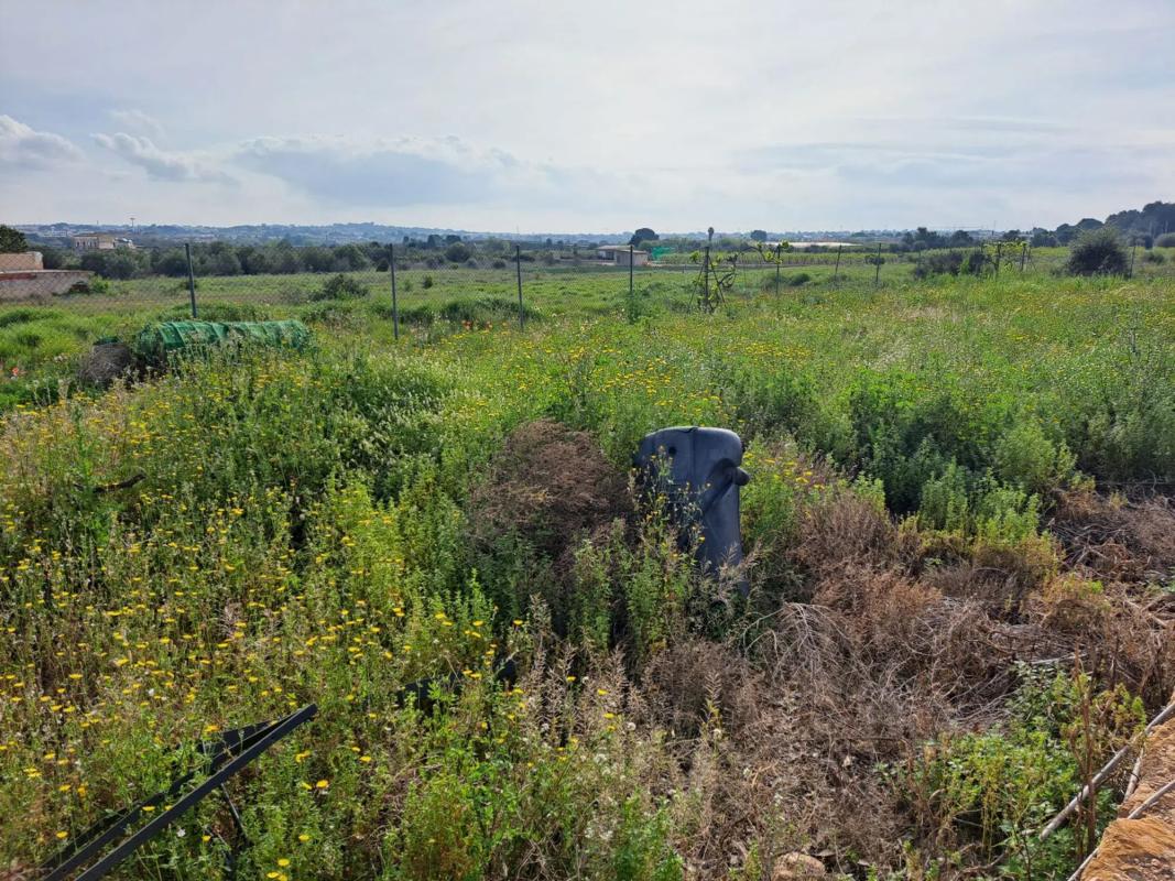 Terreno en venta en La Pobla de Vallbona, Valencia photo 2