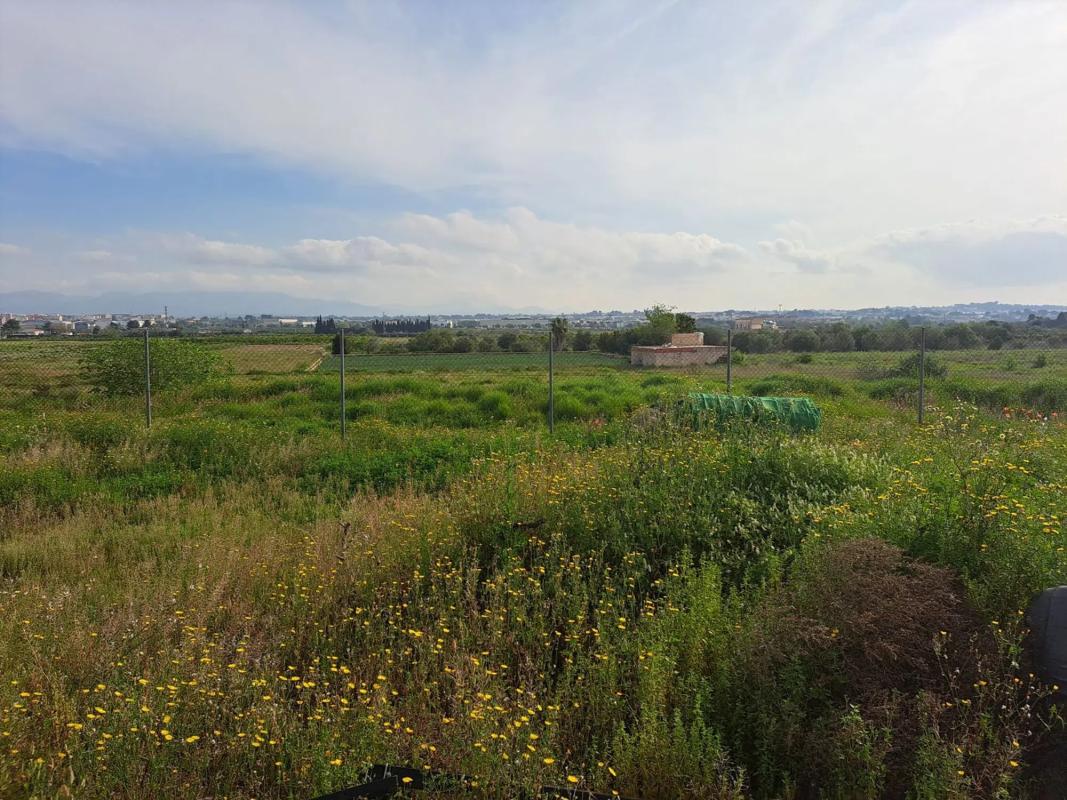 Terreno en venta en La Pobla de Vallbona, Valencia photo 3