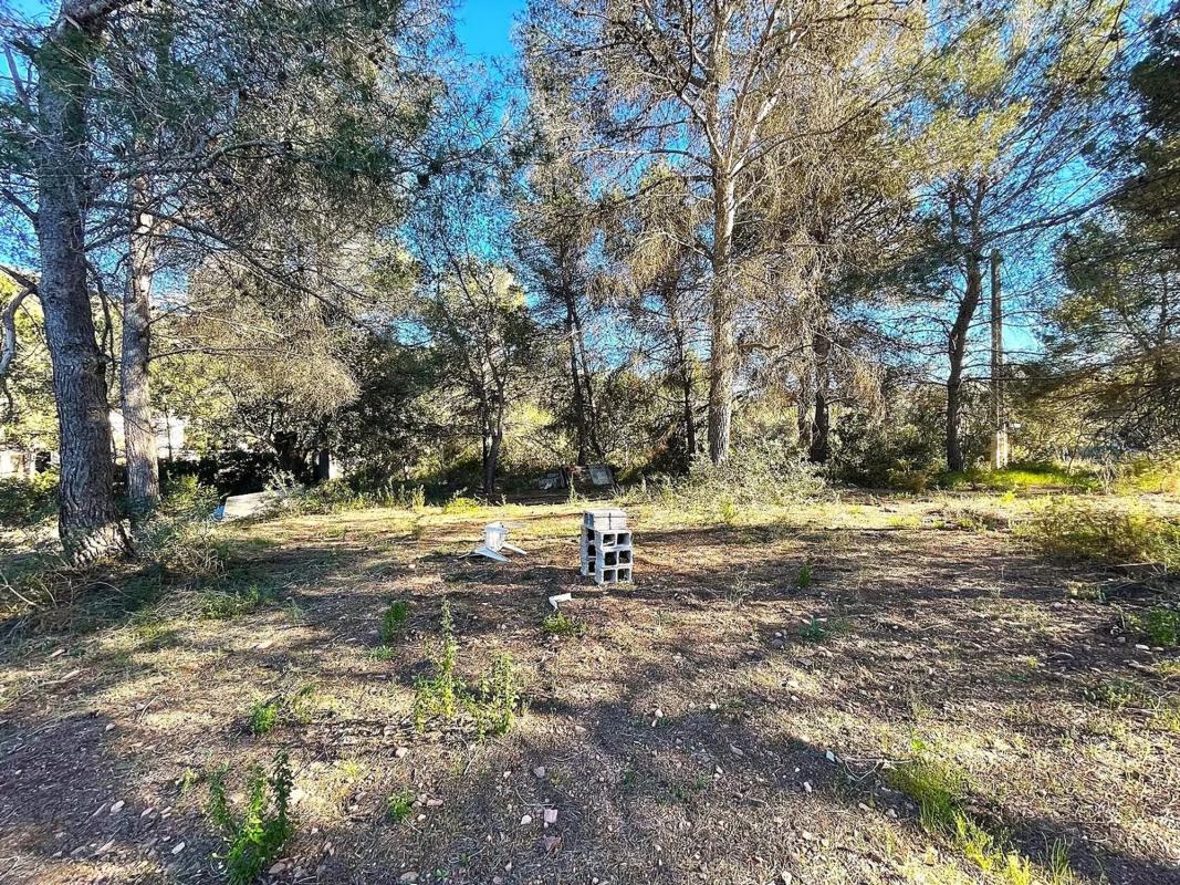 Terreno en venta en Vilamarxant, Valencia photo 2