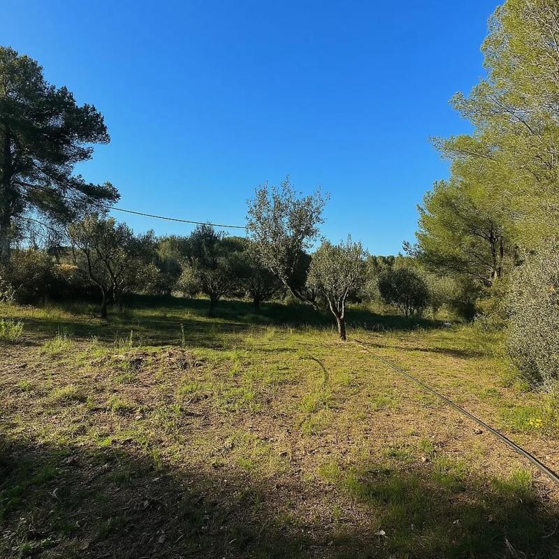 Terreno en venta en Vilamarxant, Valencia photo 5
