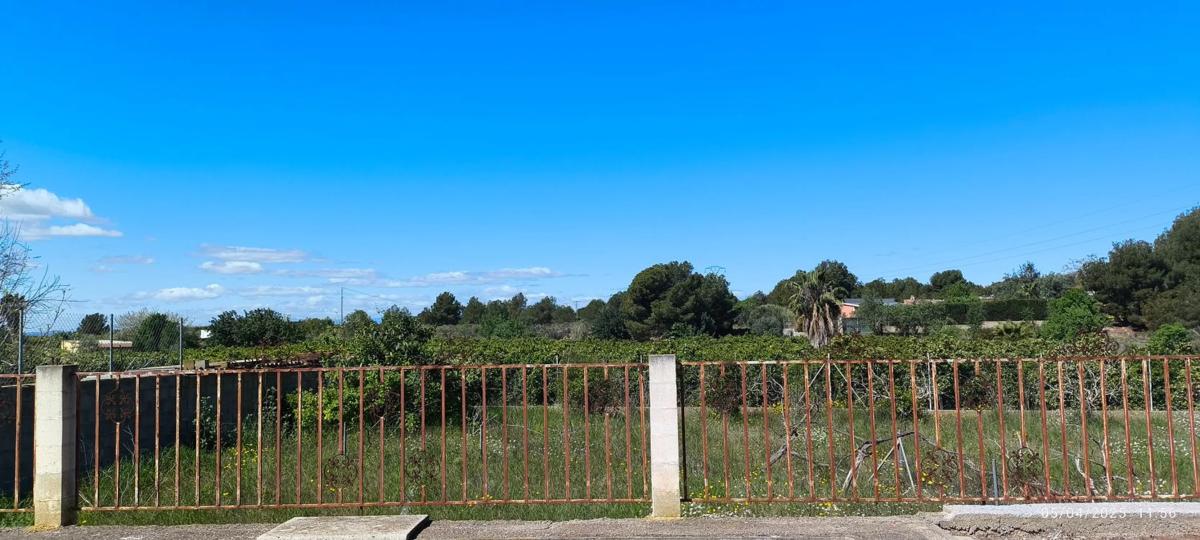 Land for sale in Náquera, Valencia photo 3
