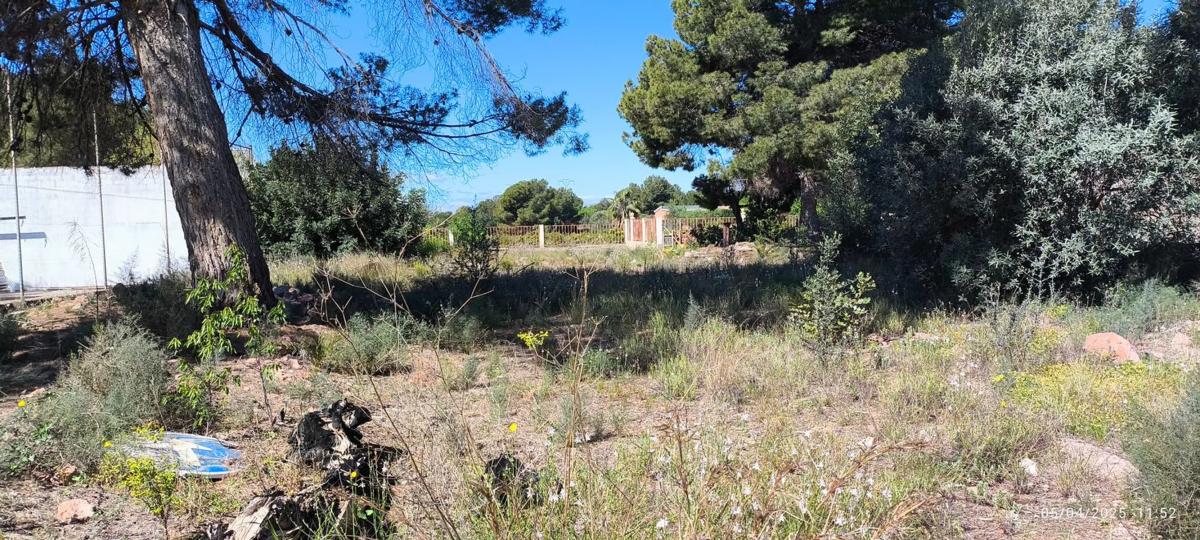 Land for sale in Náquera, Valencia photo 5