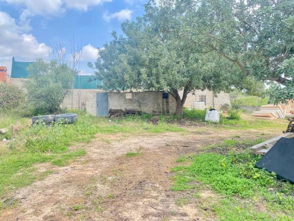 Terreno en Pla dels Aljubs photo 1