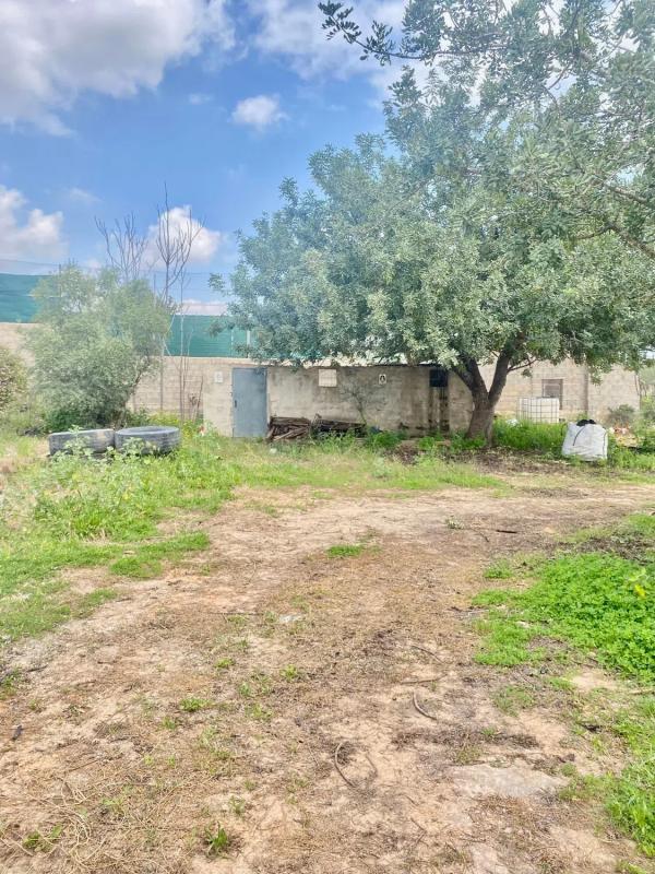 Land for sale in La Pobla de Vallbona, Valencia photo 5