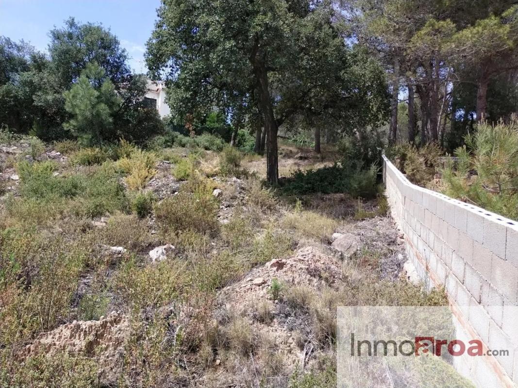 Участок земли на продажу в Гатова, Валенсия photo 3