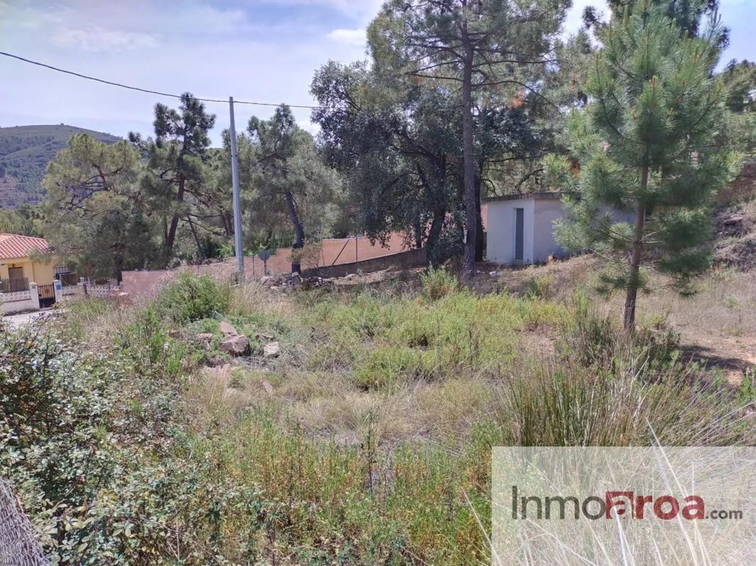 Участок земли на продажу в Гатова, Валенсия photo 5