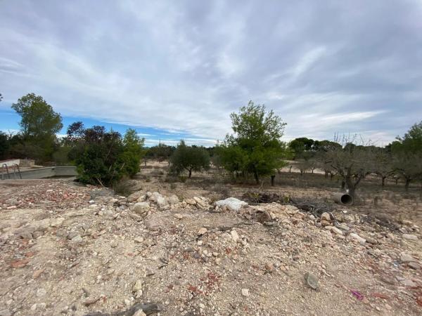 Terreno en plaza Poligono N-22.R, 22 photo 2