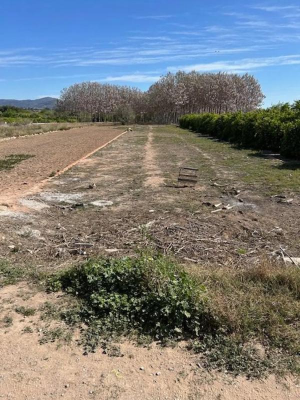Terreno en venta en Bétera, Valencia photo 5