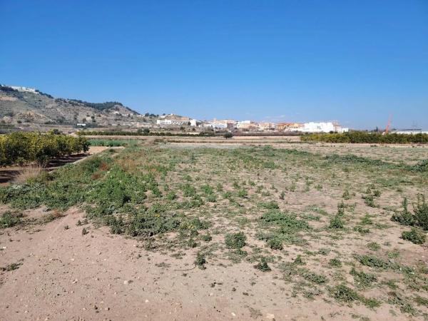 Terreno en Casco Antiguo photo 4