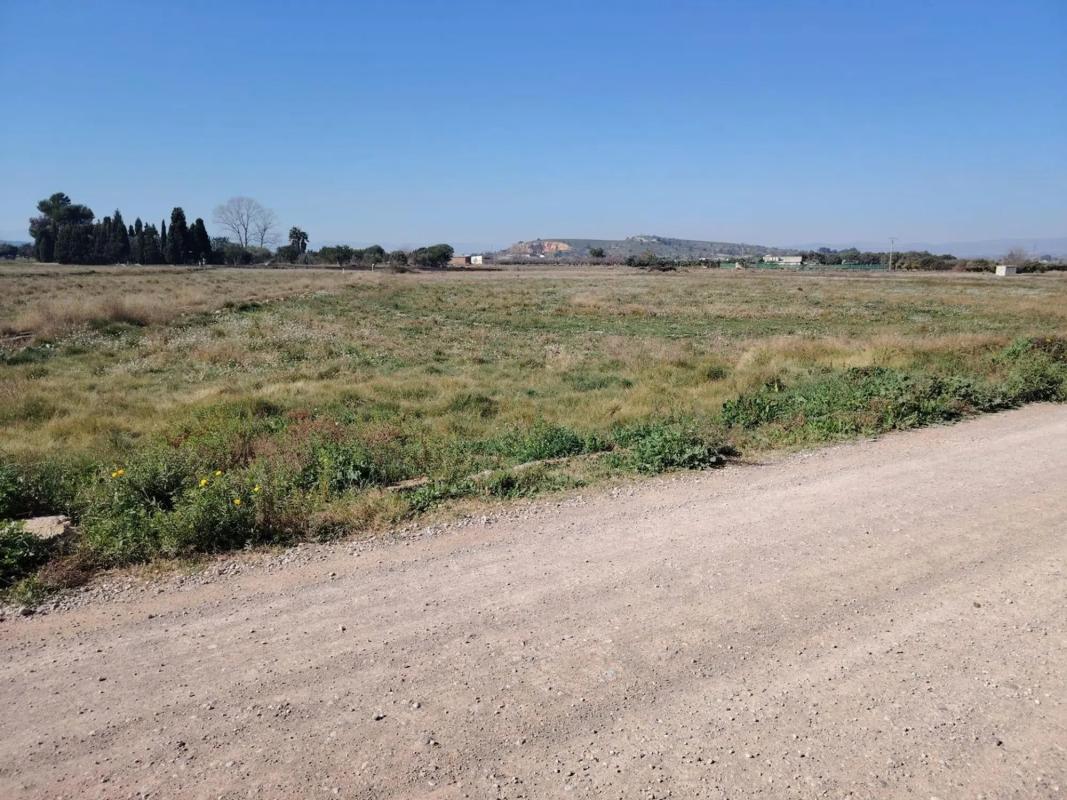 Terreno en venta en Llíria, Valencia photo 5
