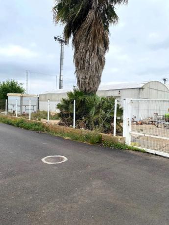 Terreno en San Antonio de Benagéber photo 1