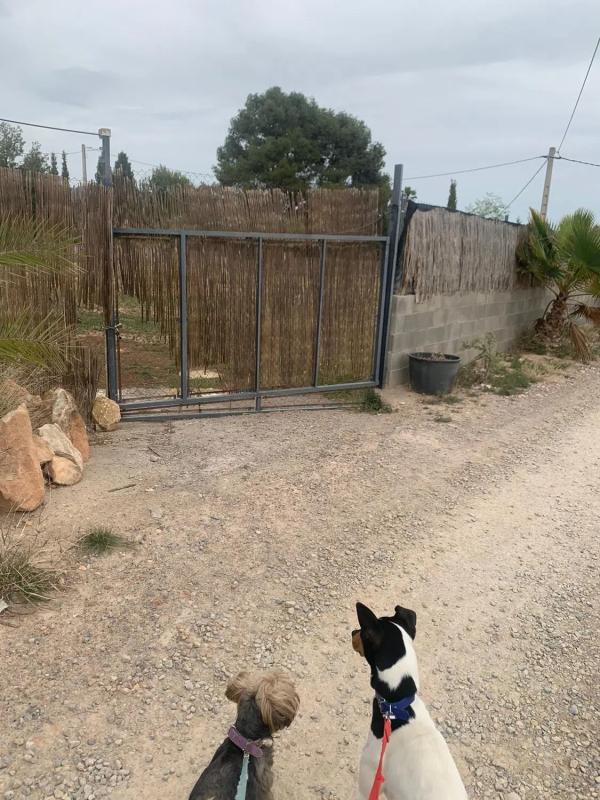 Terreno en venta en Llíria, Valencia photo 1