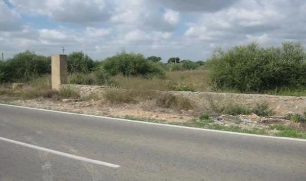 Terreno en Pla dels Aljubs photo 1