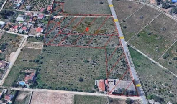 Terreno en Pla dels Aljubs photo 2