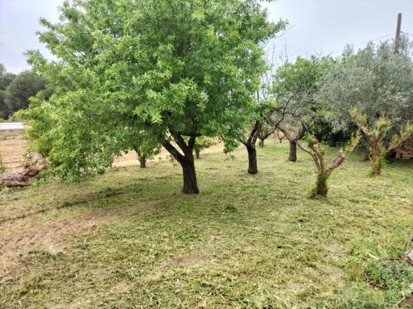 Terreno en calle Rosella, 3 thumbnail 1