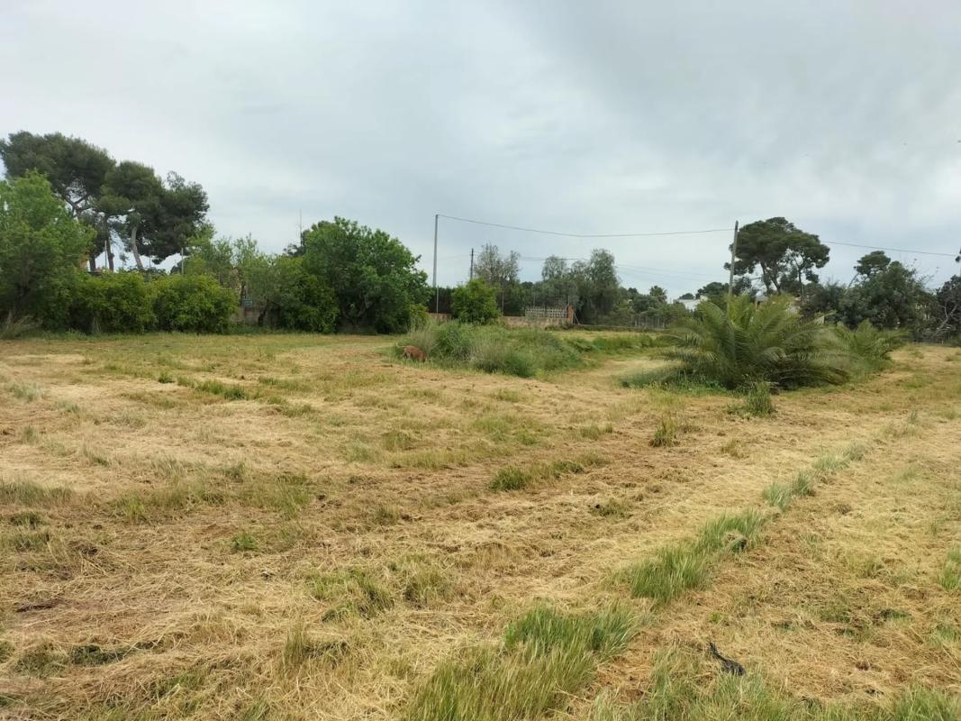 Land for sale in Bétera, Valencia photo 3