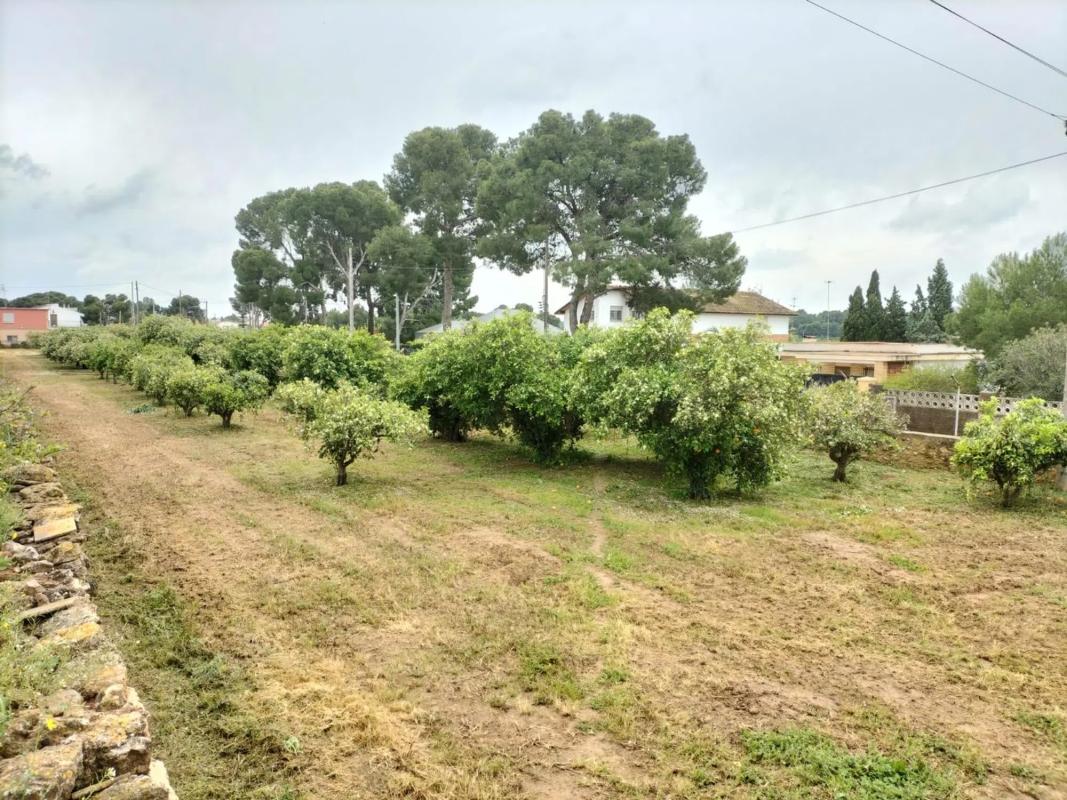 Land for sale in Bétera, Valencia photo 4