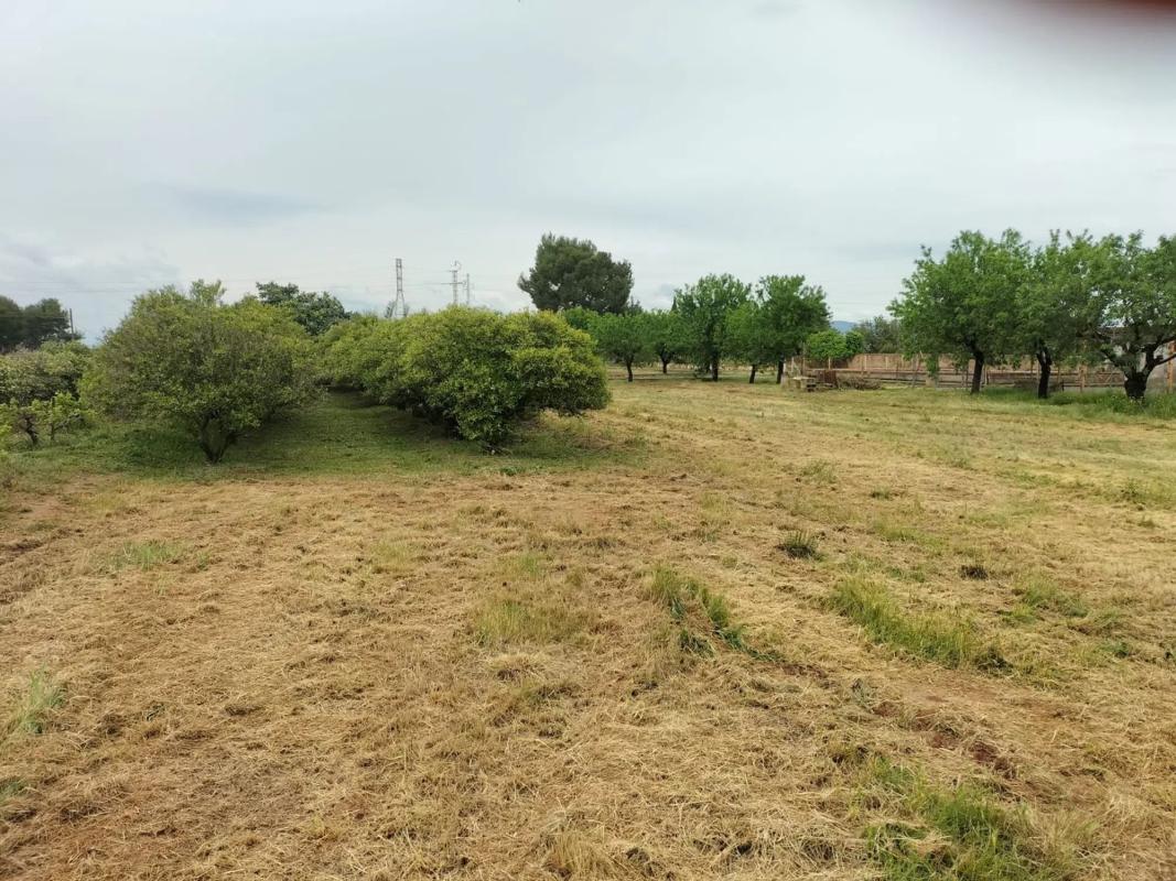 Land for sale in Bétera, Valencia photo 5