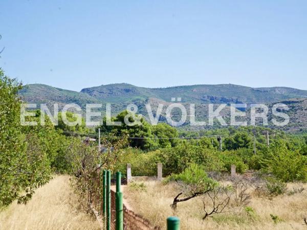 Terreno en Olocau photo 4