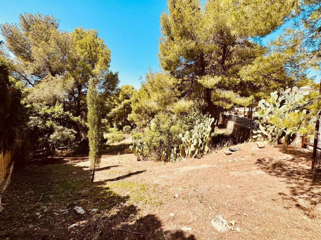 Land for sale in Náquera, Valencia photo 2