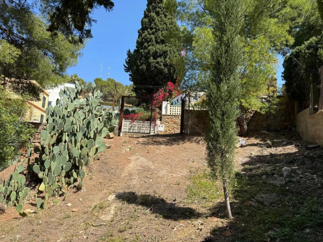 Land for sale in Náquera, Valencia photo 3